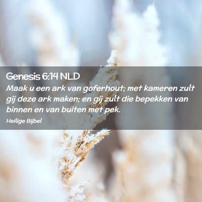 Picture 02 - Genesis 6:14 NLD - Maak u een ark van goferhout; met kameren zult - Bible Verse Picture