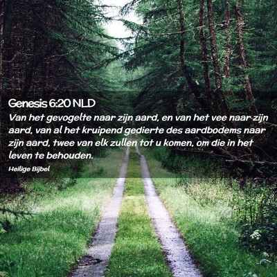Picture 02 - Genesis 6:20 NLD - Van het gevogelte naar zijn aard, en van het vee - Bible Verse Picture