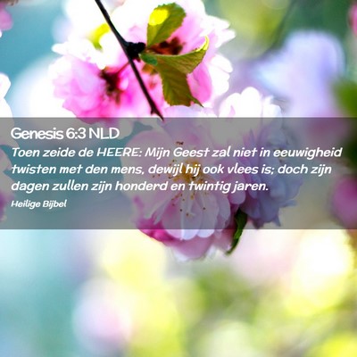 Picture 02 - Genesis 6:3 NLD - Toen zeide de HEERE: Mijn Geest zal niet in - Bible Verse Picture
