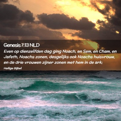 Picture 02 - Genesis 7:13 NLD - Even op dienzelfden dag ging Noach, en Sem, en - Bible Verse Picture