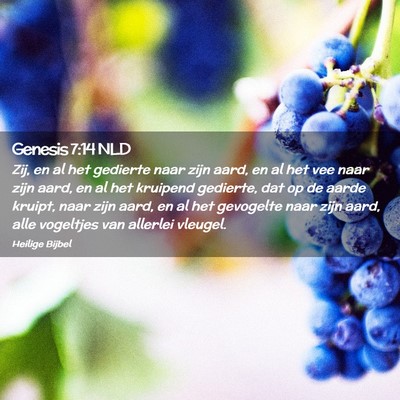 Picture 02 - Genesis 7:14 NLD - Zij, en al het gedierte naar zijn aard, en al het - Bible Verse Picture