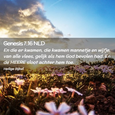 Picture 02 - Genesis 7:16 NLD - En die er kwamen, die kwamen mannetje en wijfje, - Bible Verse Picture