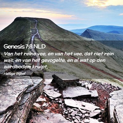 Picture 02 - Genesis 7:8 NLD - Van het reine vee, en van het vee, dat niet rein - Bible Verse Picture