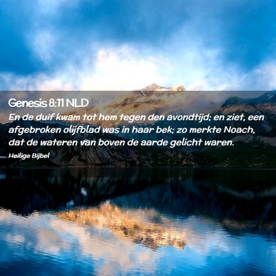 Picture 02 - Genesis 8:11 NLD - En de duif kwam tot hem tegen den avondtijd; en - Bible Verse Picture