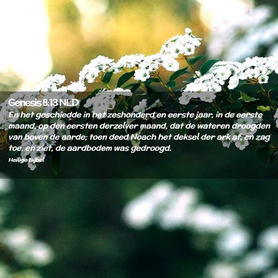 Picture 02 - Genesis 8:13 NLD - En het geschiedde in het zeshonderd en eerste - Bible Verse Picture