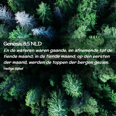Picture 02 - Genesis 8:5 NLD - En de wateren waren gaande, en afnemende tot de - Bible Verse Picture