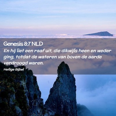 Picture 02 - Genesis 8:7 NLD - En hij liet een raaf uit, die dikwijls heen en - Bible Verse Picture