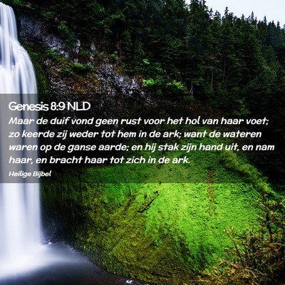 Picture 02 - Genesis 8:9 NLD - Maar de duif vond geen rust voor het hol van haar - Bible Verse Picture