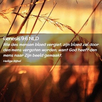Picture 02 - Genesis 9:6 NLD - Wie des mensen bloed vergiet, zijn bloed zal door - Bible Verse Picture