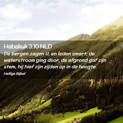 Picture 02 - Habakuk 3:10 NLD - De bergen zagen U, en leden smart; de waterstroom - Bible Verse Picture