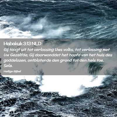 Picture 02 - Habakuk 3:13 NLD - Gij toogt uit tot verlossing Uws volks, tot - Bible Verse Picture
