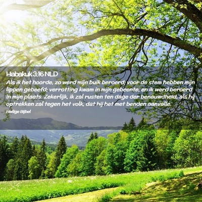 Picture 02 - Habakuk 3:16 NLD - Als ik het hoorde, zo werd mijn buik beroerd; - Bible Verse Picture