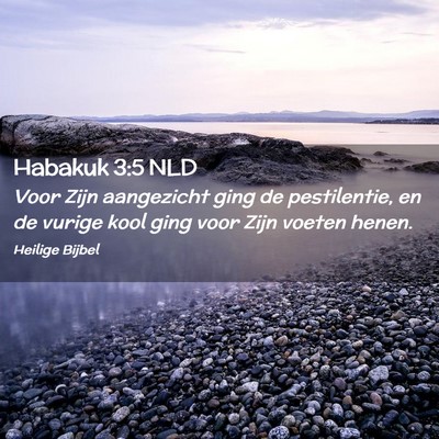 Picture 02 - Habakuk 3:5 NLD - Voor Zijn aangezicht ging de pestilentie, en de - Bible Verse Picture