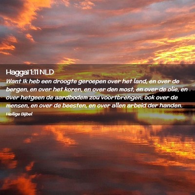 Picture 02 - Haggaï 1:11 NLD - Want Ik heb een droogte geroepen over het land, - Bible Verse Picture