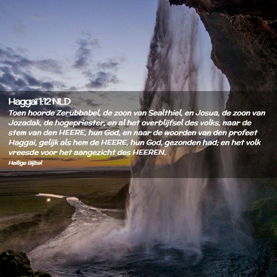 Picture 02 - Haggaï 1:12 NLD - Toen hoorde Zerubbabel, de zoon van Sealthiel, en - Bible Verse Picture