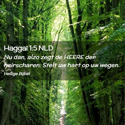 Picture 02 - Haggaï 1:5 NLD - Nu dan, alzo zegt de HEERE der heirscharen: Stelt - Bible Verse Picture