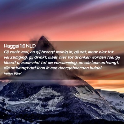 Picture 02 - Haggaï 1:6 NLD - Gij zaait veel, en gij brengt weinig in; gij eet, - Bible Verse Picture