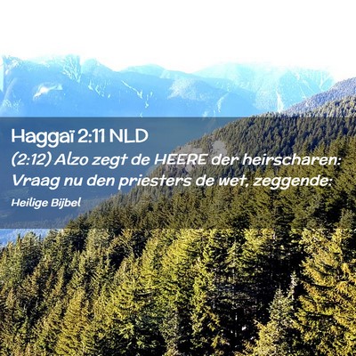 Picture 02 - Haggaï 2:11 NLD - (2:12) Alzo zegt de HEERE der heirscharen: Vraag - Bible Verse Picture