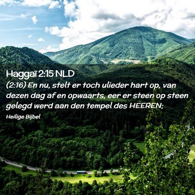 Picture 02 - Haggaï 2:15 NLD - (2:16) En nu, stelt er toch ulieder hart op, van - Bible Verse Picture