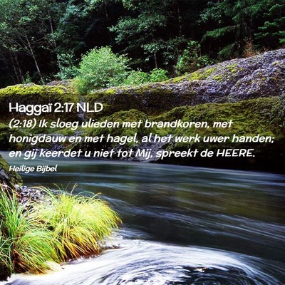 Picture 02 - Haggaï 2:17 NLD - (2:18) Ik sloeg ulieden met brandkoren, met - Bible Verse Picture