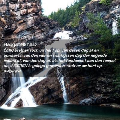 Picture 02 - Haggaï 2:18 NLD - (2:19) Stelt er toch uw hart op, van dezen dag af - Bible Verse Picture