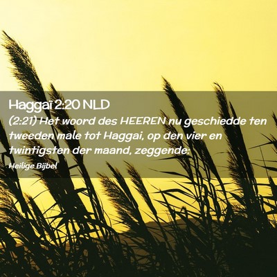 Picture 02 - Haggaï 2:20 NLD - (2:21) Het woord des HEEREN nu geschiedde ten - Bible Verse Picture