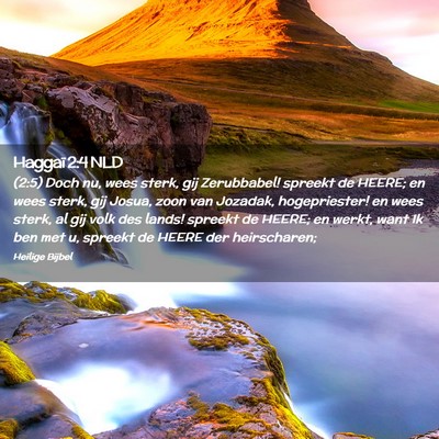 Picture 02 - Haggaï 2:4 NLD - (2:5) Doch nu, wees sterk, gij Zerubbabel! - Bible Verse Picture