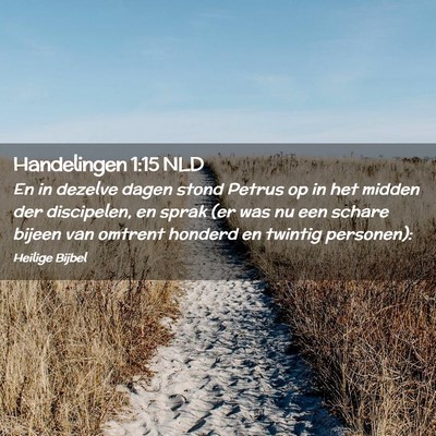 Picture 02 - Handelingen 1:15 NLD - En in dezelve dagen stond Petrus op in het midden - Bible Verse Picture