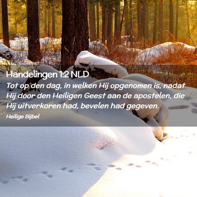 Picture 02 - Handelingen 1:2 NLD - Tot op den dag, in welken Hij opgenomen is, nadat - Bible Verse Picture