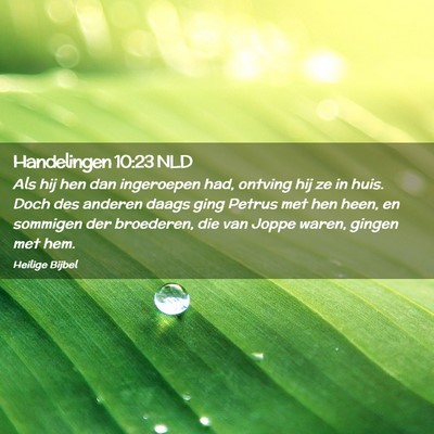 Picture 02 - Handelingen 10:23 NLD - Als hij hen dan ingeroepen had, ontving hij ze in - Bible Verse Picture