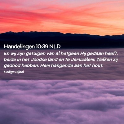 Picture 02 - Handelingen 10:39 NLD - En wij zijn getuigen van al hetgeen Hij gedaan - Bible Verse Picture