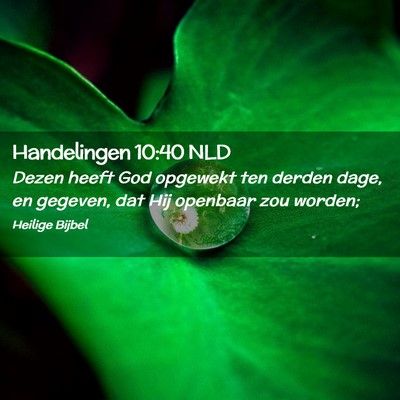 Picture 02 - Handelingen 10:40 NLD - Dezen heeft God opgewekt ten derden dage, en - Bible Verse Picture