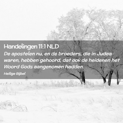 Picture 02 - Handelingen 11:1 NLD - De apostelen nu, en de broeders, die in Judea - Bible Verse Picture