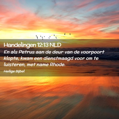 Picture 02 - Handelingen 12:13 NLD - En als Petrus aan de deur van de voorpoort - Bible Verse Picture