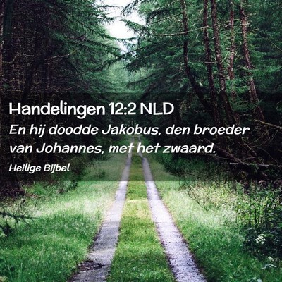 Picture 02 - Handelingen 12:2 NLD - En hij doodde Jakobus, den broeder van Johannes, - Bible Verse Picture