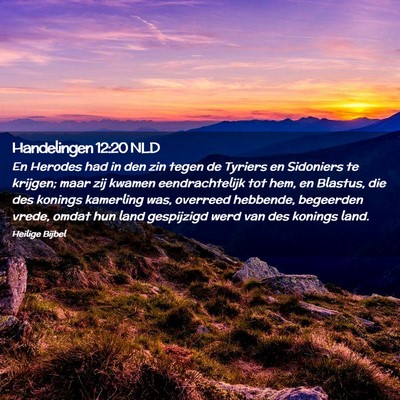 Picture 02 - Handelingen 12:20 NLD - En Herodes had in den zin tegen de Tyriers en - Bible Verse Picture