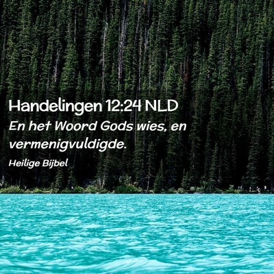 Picture 02 - Handelingen 12:24 NLD - En het Woord Gods wies, en - Bible Verse Picture