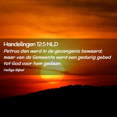 Picture 02 - Handelingen 12:5 NLD - Petrus dan werd in de gevangenis bewaard; maar - Bible Verse Picture