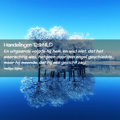 Picture 02 - Handelingen 12:9 NLD - En uitgaande volgde hij hem, en wist niet, dat - Bible Verse Picture