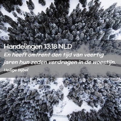 Picture 02 - Handelingen 13:18 NLD - En heeft omtrent den tijd van veertig jaren hun - Bible Verse Picture