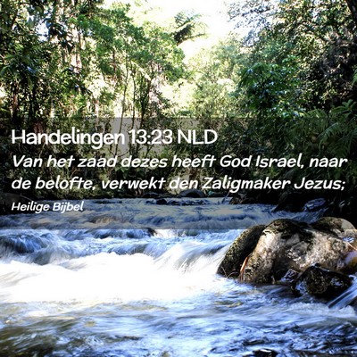 Picture 02 - Handelingen 13:23 NLD - Van het zaad dezes heeft God Israel, naar de - Bible Verse Picture