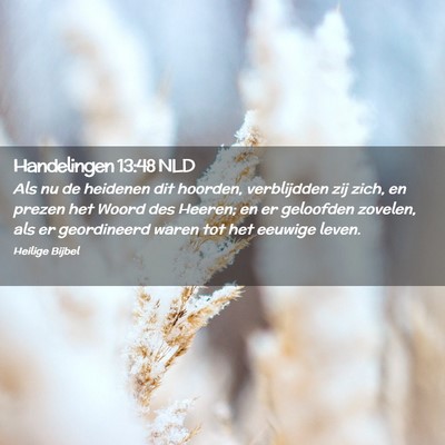 Picture 02 - Handelingen 13:48 NLD - Als nu de heidenen dit hoorden, verblijdden zij - Bible Verse Picture
