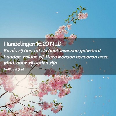 Picture 02 - Handelingen 16:20 NLD - En als zij hen tot de hoofdmannen gebracht - Bible Verse Picture