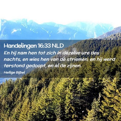 Picture 02 - Handelingen 16:33 NLD - En hij nam hen tot zich in dezelve ure des - Bible Verse Picture