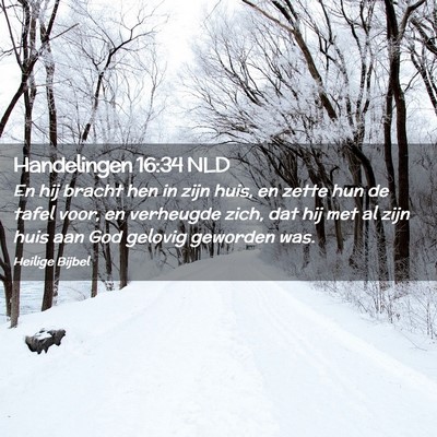 Picture 02 - Handelingen 16:34 NLD - En hij bracht hen in zijn huis, en zette hun de - Bible Verse Picture