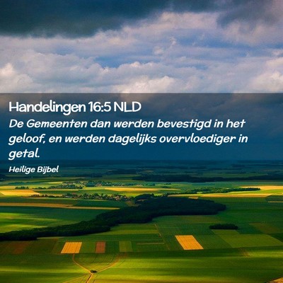 Picture 02 - Handelingen 16:5 NLD - De Gemeenten dan werden bevestigd in het geloof, - Bible Verse Picture