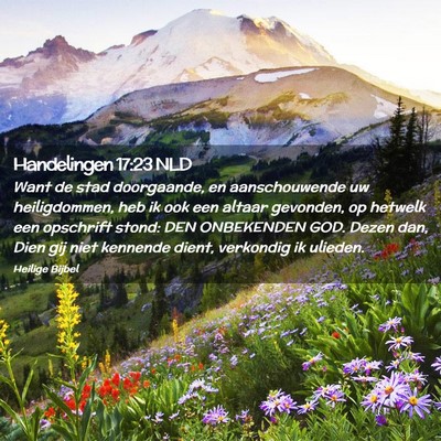 Picture 02 - Handelingen 17:23 NLD - Want de stad doorgaande, en aanschouwende uw - Bible Verse Picture