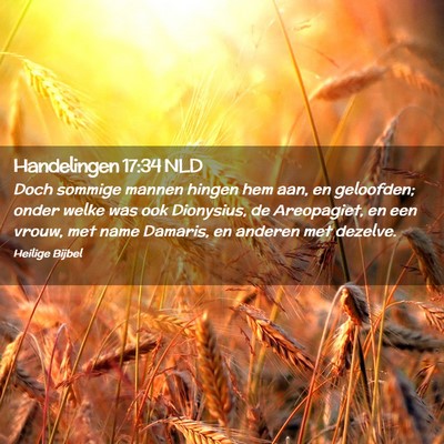 Picture 02 - Handelingen 17:34 NLD - Doch sommige mannen hingen hem aan, en geloofden; - Bible Verse Picture