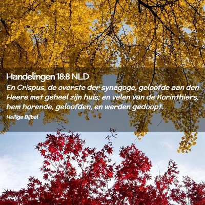 Picture 02 - Handelingen 18:8 NLD - En Crispus, de overste der synagoge, geloofde aan - Bible Verse Picture