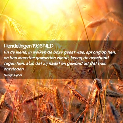Picture 02 - Handelingen 19:16 NLD - En de mens, in welken de boze geest was, sprong - Bible Verse Picture